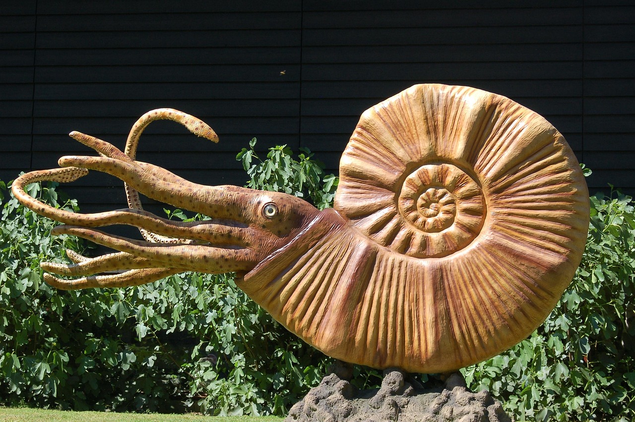 Marvin — Dinosaurs and Fossils